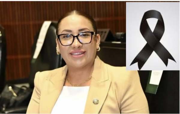 Fallece Anay Beltrán Reyes, diputada de Morena, a los 44 años